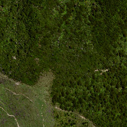 Satellite imagery of 8025, NZ
