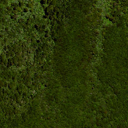 Satellite imagery of 8025, NZ