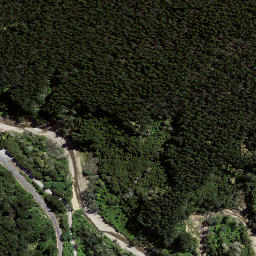 Satellite imagery of 8031, NZ