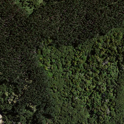 Satellite imagery of 8031, NZ