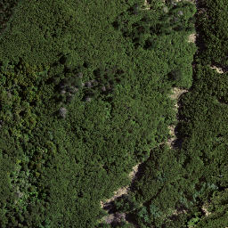 Satellite imagery of 8031, NZ