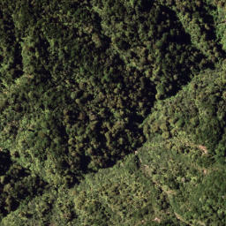 Satellite imagery of 7921, NZ