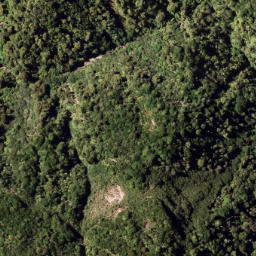 Satellite imagery of 7921, NZ