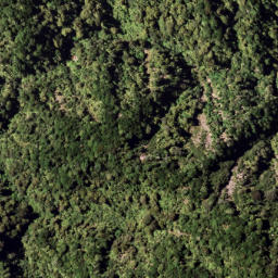 Satellite imagery of 7921, NZ