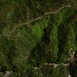 Satellite imagery of 8021, NZ