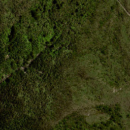 Satellite imagery of 8021, NZ