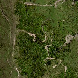 Satellite imagery of 8021, NZ