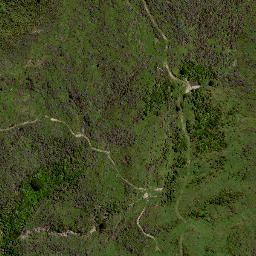 Satellite imagery of 8025, NZ