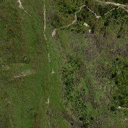 Satellite imagery of 8025, NZ