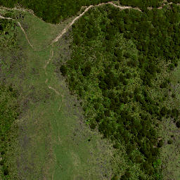 Satellite imagery of 8025, NZ