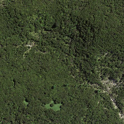 Satellite imagery of Otamarauiri Point, NZ