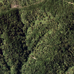 Satellite imagery of 7921, NZ