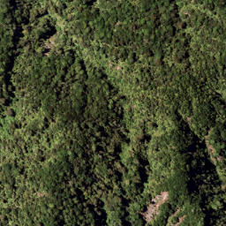 Satellite imagery of 7921, NZ