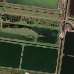 Satellite imagery of Wedge Point, AU