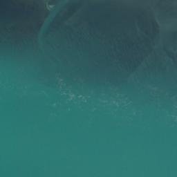 Satellite imagery of Pourewa Point, NZ