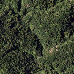 Satellite imagery of 7921, NZ