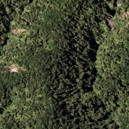 Satellite imagery of 7921, NZ
