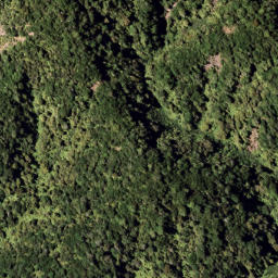 Satellite imagery of 7921, NZ
