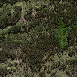 Satellite imagery of XXXV NO 2, NZ
