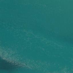 Satellite imagery of Pourewa Point, NZ
