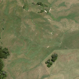 Satellite imagery of Parikawau Point, NZ