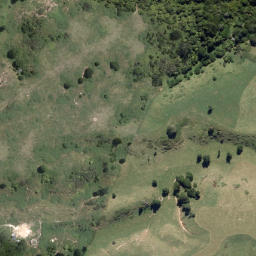 Satellite imagery of Potangatanga Point, NZ
