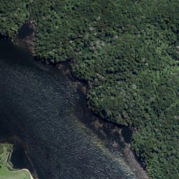 Satellite imagery of Okahu Point, NZ