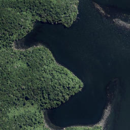 Satellite imagery of Okahu Point, NZ