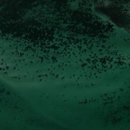 Satellite imagery of Wedge Point, AU