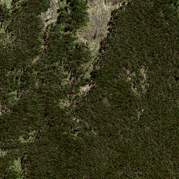 Satellite imagery of 188 RANGIKOHUA, NZ