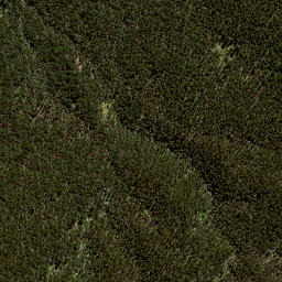 Satellite imagery of 188 RANGIKOHUA, NZ