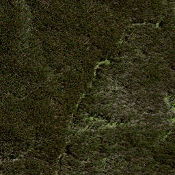 Satellite imagery of 188 RANGIKOHUA, NZ