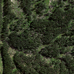 Satellite imagery of 8032, NZ