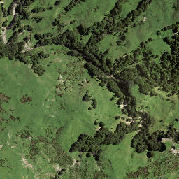 Satellite imagery of 8032, NZ