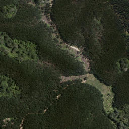 Satellite imagery of Potangatanga Point, NZ