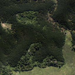 Satellite imagery of Potangatanga Point, NZ