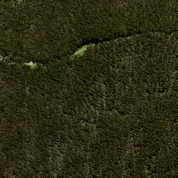 Satellite imagery of 188 RANGIKOHUA, NZ