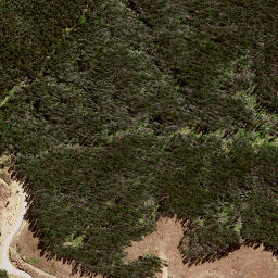 Satellite imagery of 188 RANGIKOHUA, NZ