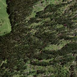 Satellite imagery of S3 PUNGAWHAKIRO, NZ