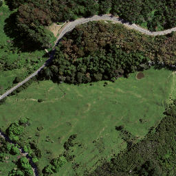 Satellite imagery of 8032, NZ