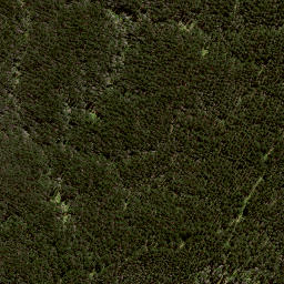 Satellite imagery of 188 RANGIKOHUA, NZ