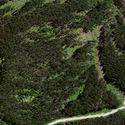Satellite imagery of S3 PUNGAWHAKIRO, NZ