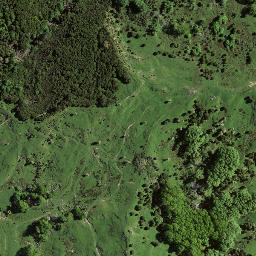 Satellite imagery of 8032, NZ