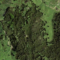Satellite imagery of 8032, NZ