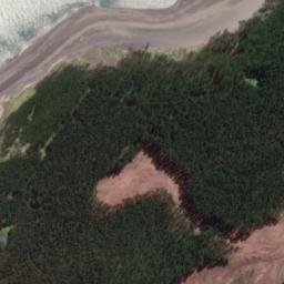 Satellite imagery of Nihinihi Point, NZ