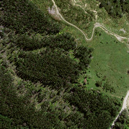 Satellite imagery of S3 PUNGAWHAKIRO, NZ