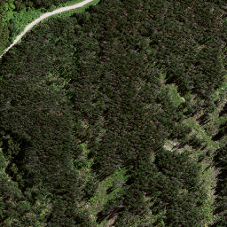 Satellite imagery of S3 PUNGAWHAKIRO, NZ