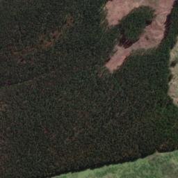Satellite imagery of Nihinihi Point, NZ