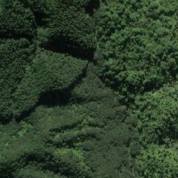 Satellite imagery of Whakarurunga, NZ