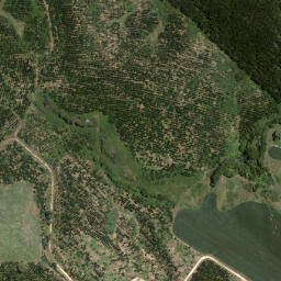 Satellite imagery of Te Akau Point, NZ